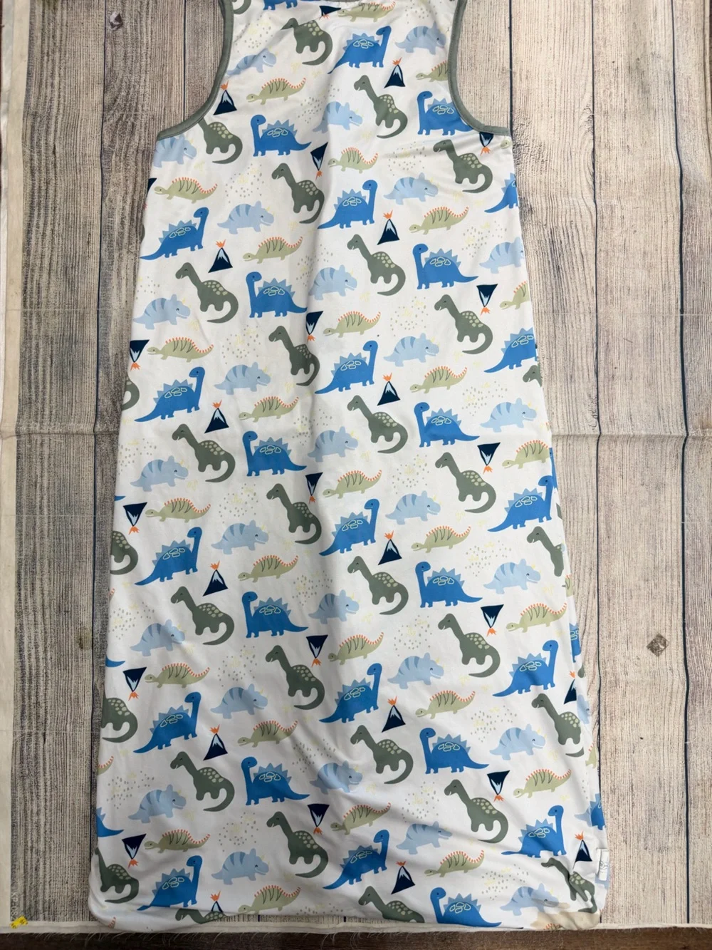 Totaha Blue & Green Dinosaur Sleeveless Kids Pajama Sleep Sack